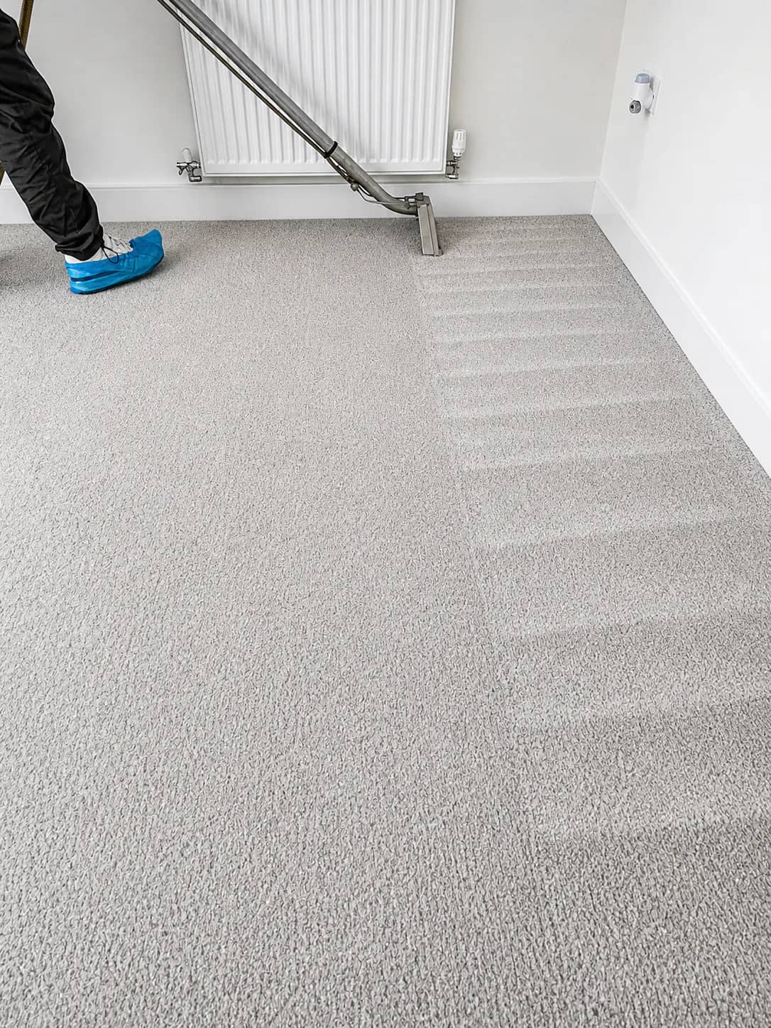 Bedroom carpet being cleaned with an extraction wand